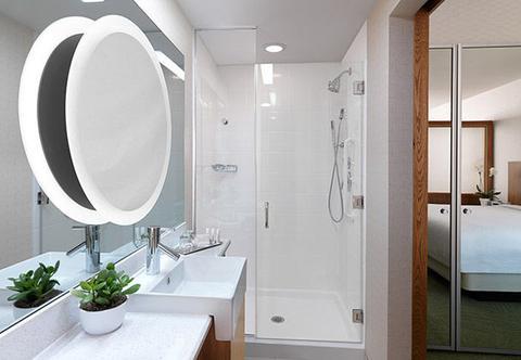 Springhill Suites By Marriott Houston Downtown/Convention Center Zewnętrze zdjęcie
